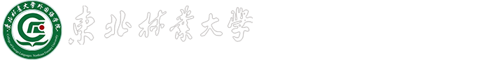 2026美加墨世界杯官网